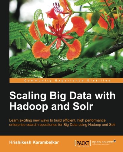 Scaling Big Data with Hadoop and Solr