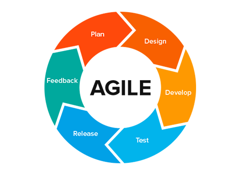 Best Agile Books for Project Management and Development