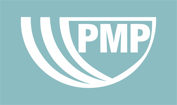 Best PMP Certification Books in 2022 | Increase Your Skill and Confidence to Bring New Products and Services