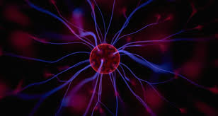 The Body Electric: Electromagnetism And The Foundation of Life