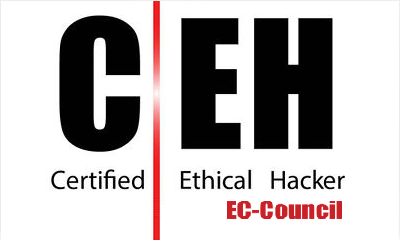 Best Certified Ethical Hacker Books to Become an IT Security Expert
