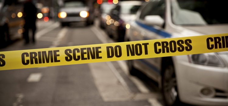 Best Criminology Books in 2023 | Learn About Justice, Criminals and Crimes