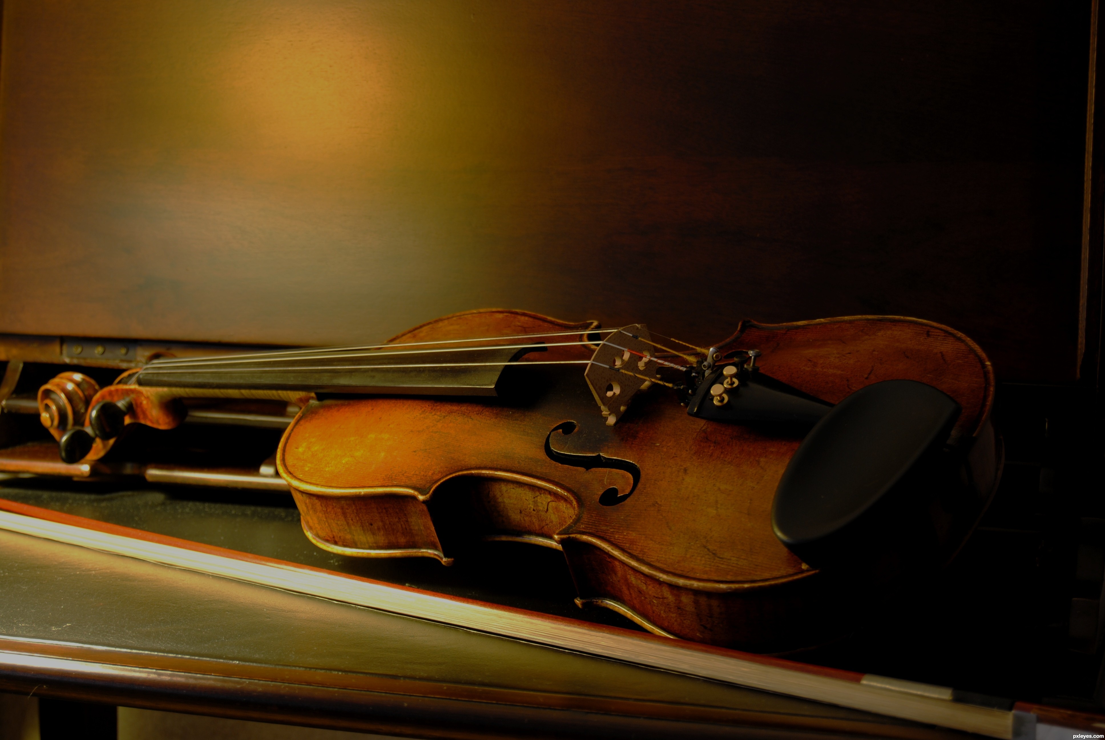Best Violin Books | Guideline to be a Professional Violinists
