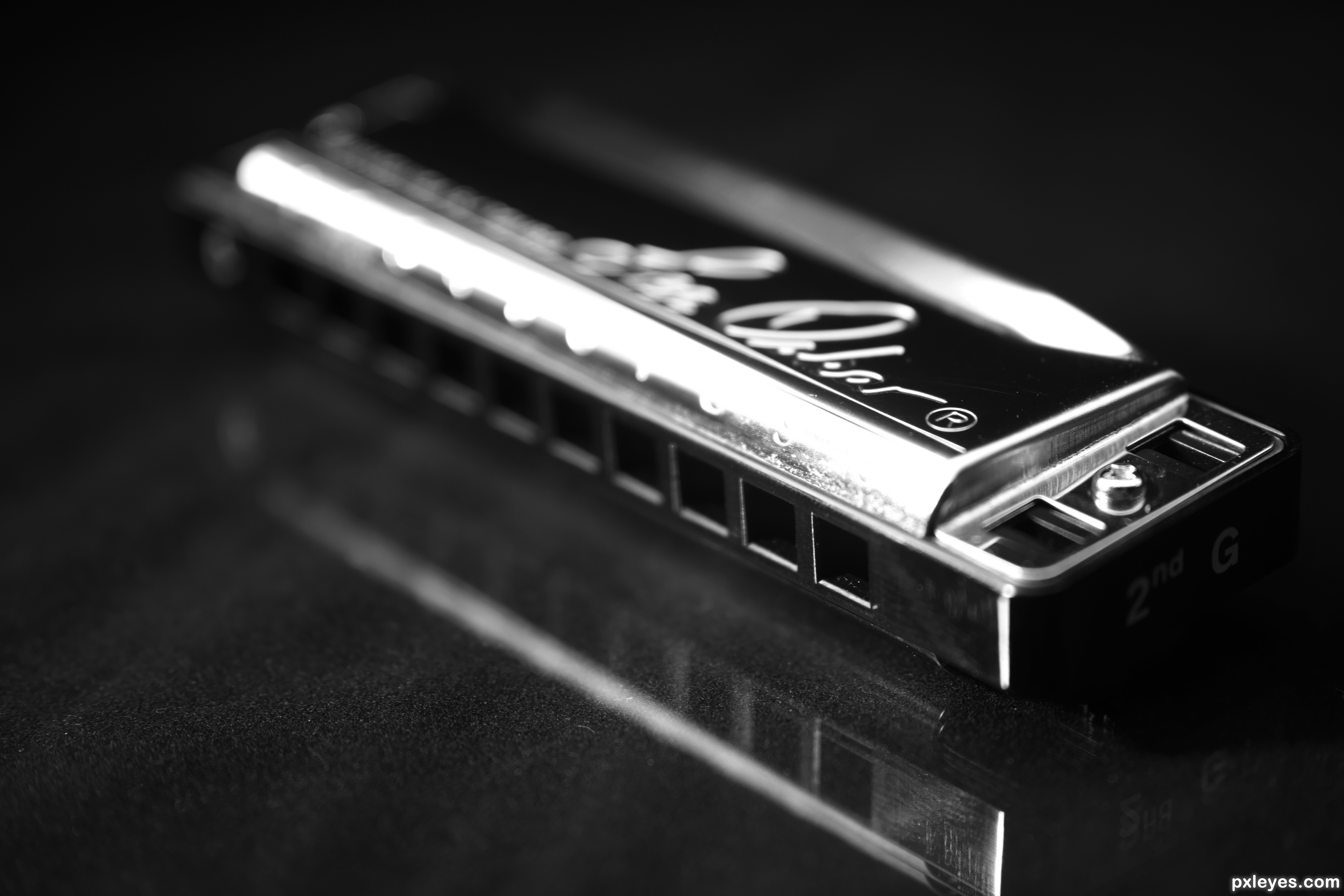 Best Harmonica Books That Help You Learn how Harmonica Play