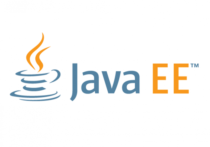 Best Java ee books for develop a secure network or applications